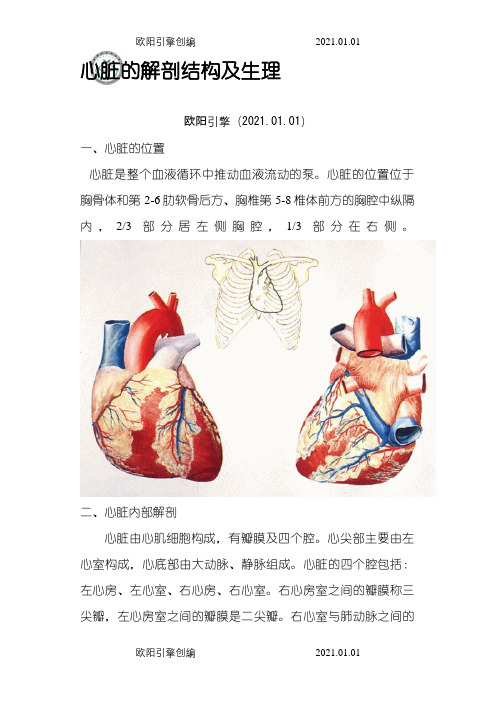 心脏的解剖结构及生理(含彩图)之欧阳引擎创编