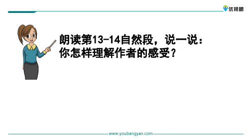 【公开课】四年级下册语文课件 4 珍珠鸟_26-30