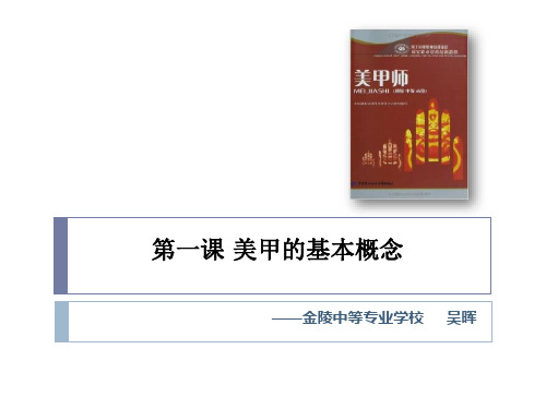 美甲概论