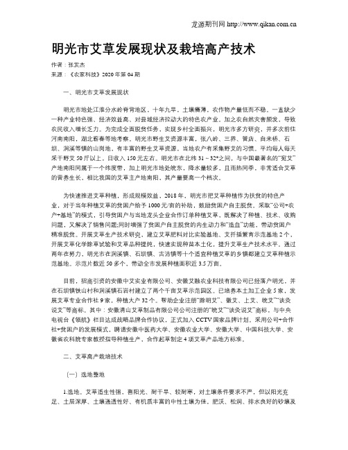 明光市艾草发展现状及栽培高产技术