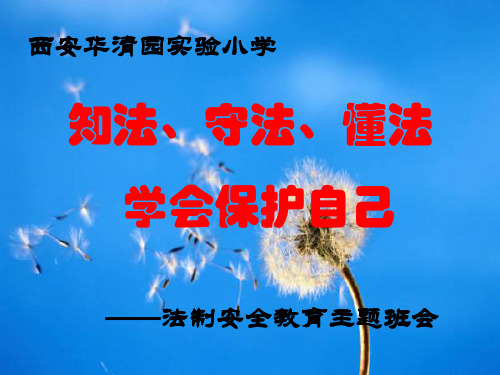 小学生法制安全教育主题班会(课件)