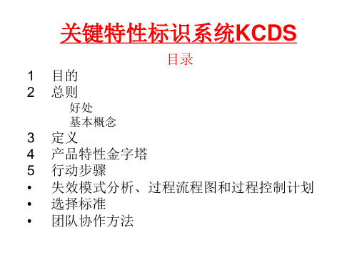 关键特性标示系统KPCKCC课件