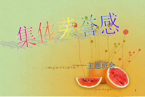 集体荣誉感主题班会ppt课件