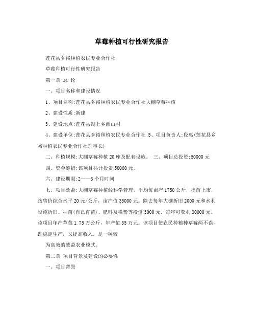 草莓种植可行性研究报告