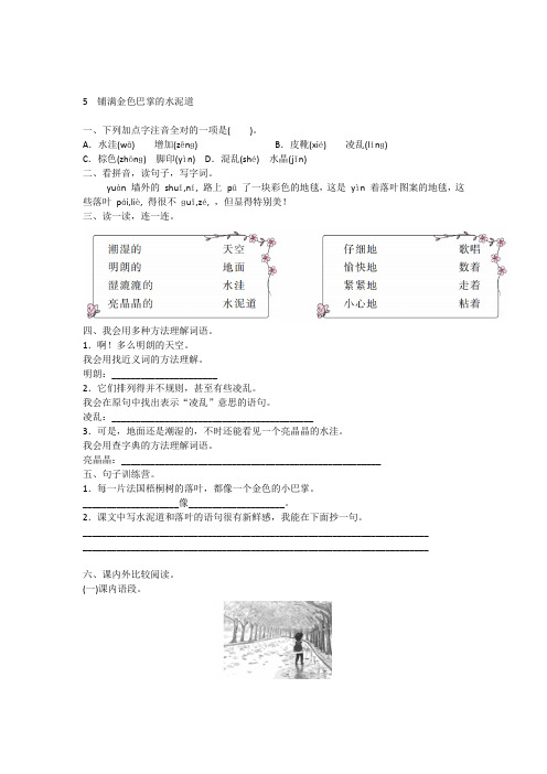 部编版三年级语文上册5 铺满金色巴掌的水泥道课时练(附答案)