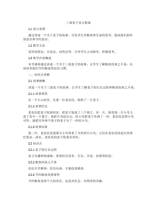 三袋麦子语文教案