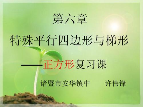 第六章特殊四边形与梯形复习之正方形专题