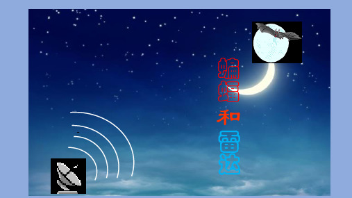 部编版语文四年级上册《蝙蝠和雷达》上课课件ppt