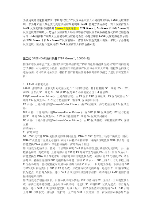 LAMP染料选择