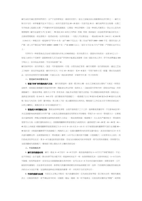 麻竹笋栽种技术