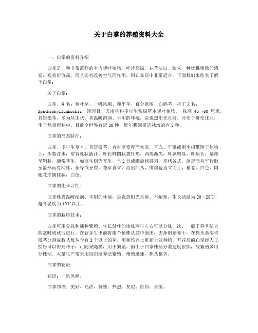 关于白掌的养殖资料大全