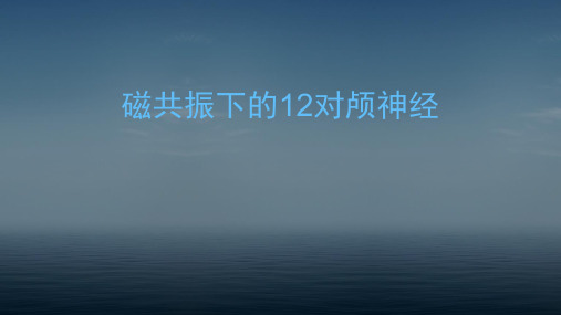 磁共振下的12对颅神经