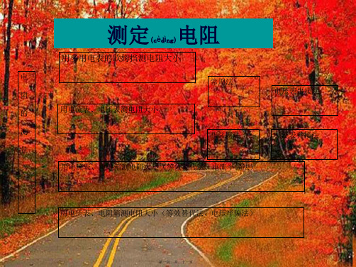 九年级物理全册 17.3电阻的测量课件初中九年级全册物理课件