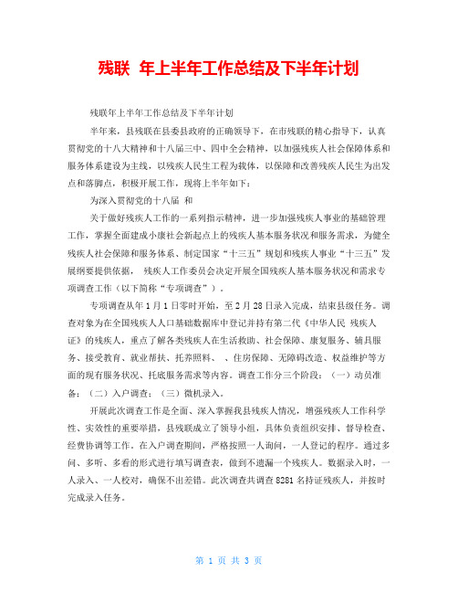 残联年上半年工作总结及下半年计划