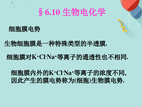 生物电化学PPT资料优选版