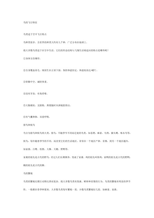 鸟的飞行特征