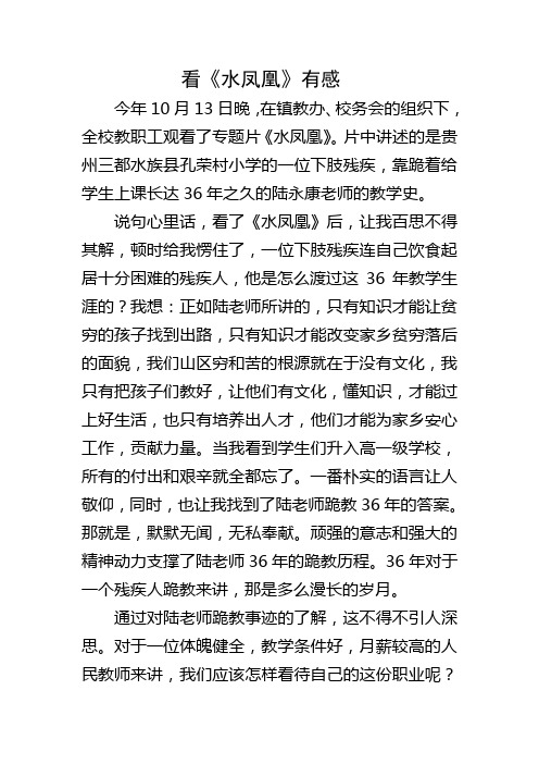 看《水凤凰》有感