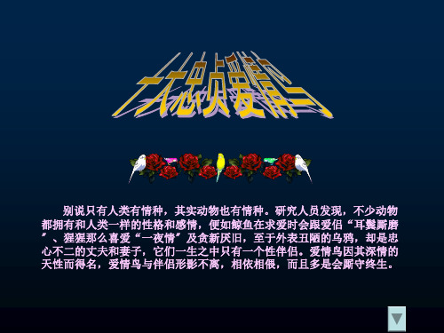 十大忠贞爱情鸟类