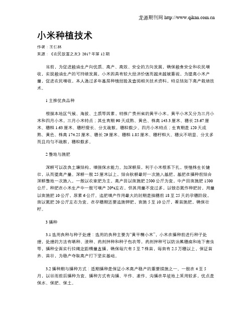小米种植技术