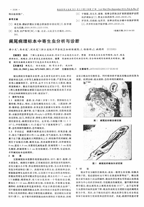 阑尾病理标本中寄生虫分析与诊断