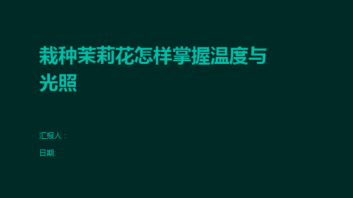 栽种茉莉花怎样掌握温度与光照