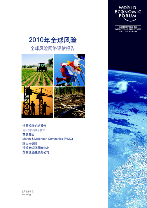 世界经济论坛WEF(201001)-2010年全球风险评估报告(CN)