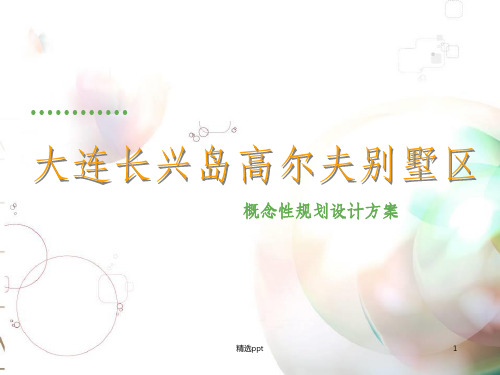 大连长兴岛低密度项目概念性规划设计方案