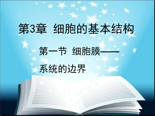 【人教版教材】高中生物必修一细胞膜
