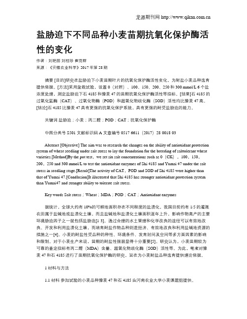 盐胁迫下不同品种小麦苗期抗氧化保护酶活性的变化