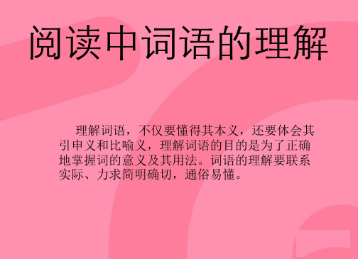 阅读-词语的理解