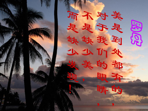 七级语文上册《窗》课件 苏教(通用)