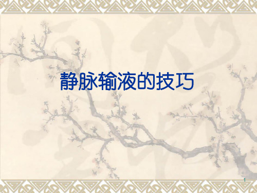静脉输液的技巧ppt课件