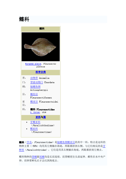 鲽科简介