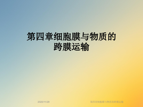 第四章细胞膜与物质的跨膜运输