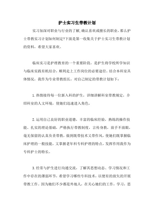 护士实习生带教计划