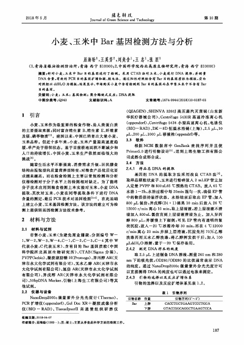 小麦、玉米中Bar基因检测方法与分析