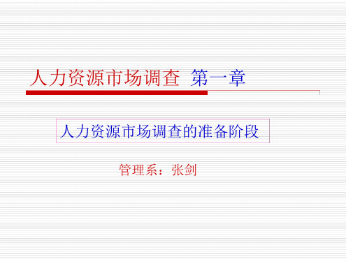 人力资源市场调查的准备阶段第一章资料