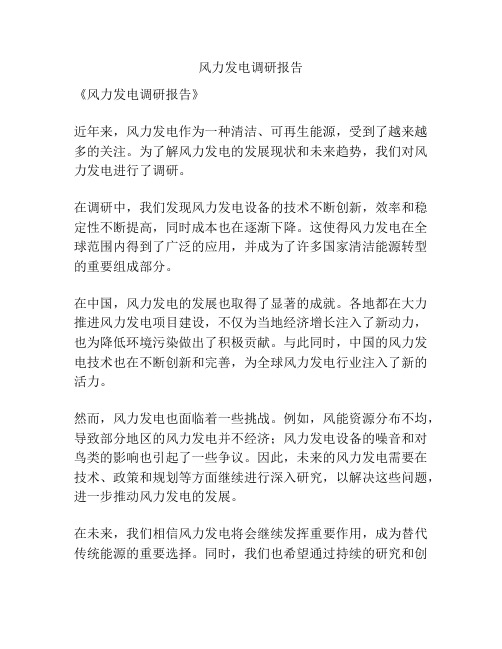 风力发电调研报告