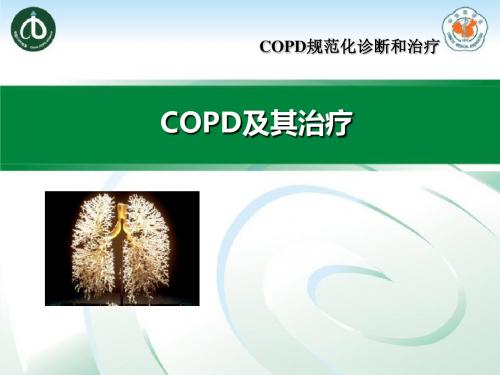 COPD稳定期治疗