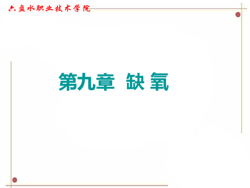 缺氧-文档资料