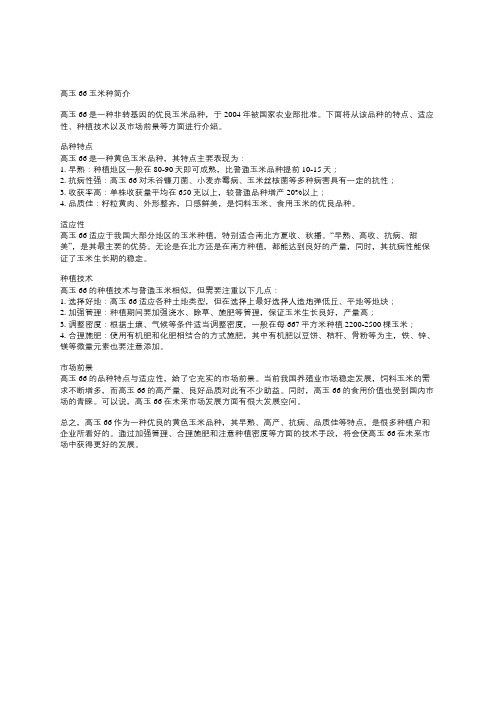 高玉66玉米种简介