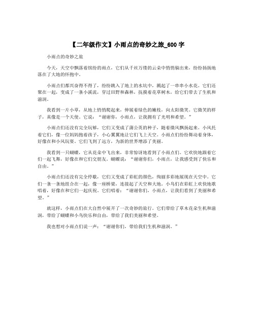 【二年级作文】小雨点的奇妙之旅_600字