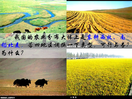 高中地理必修二 3.1 农业的区位选择