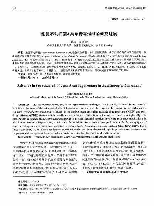 鲍曼不动杆菌A类碳青霉烯酶的研究进展
