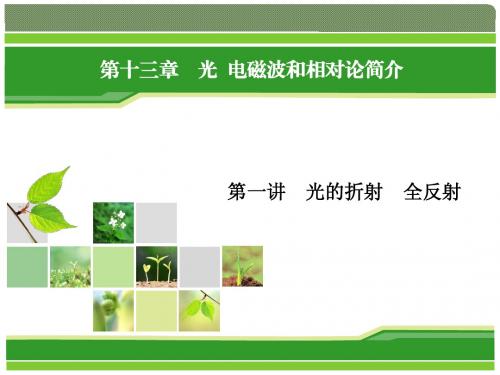 2014一轮复习指导：第13章 第1讲 光的折射 全反射