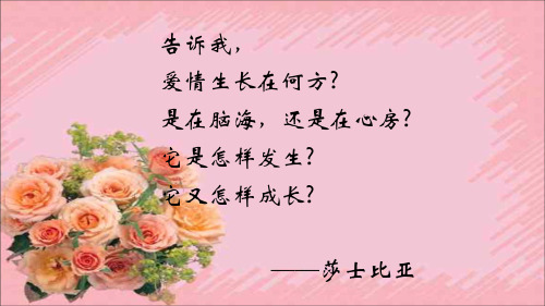 九年级上册人教版语文优质课件《致女儿的信》