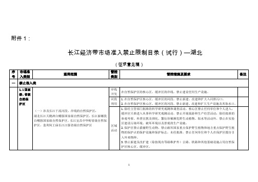 长江经济带市场准入禁止限制目录(试行)湖北