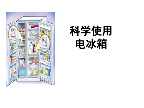 科学使用电冰箱ppt..