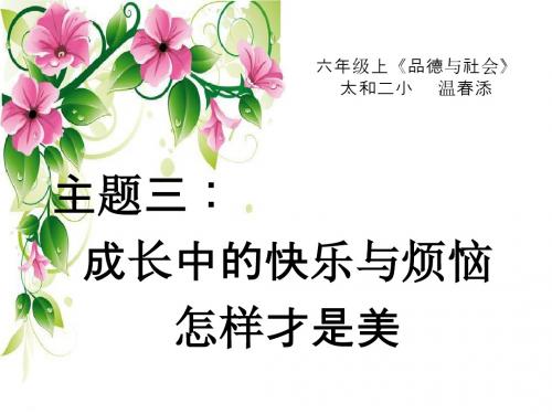六年级上册品德与社会《怎样才是美》PPT课件
