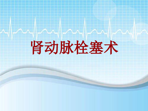 手术讲解模板：肾动脉栓塞术
